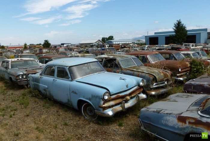 ������������� �������� � ����� ������ (35 ����)