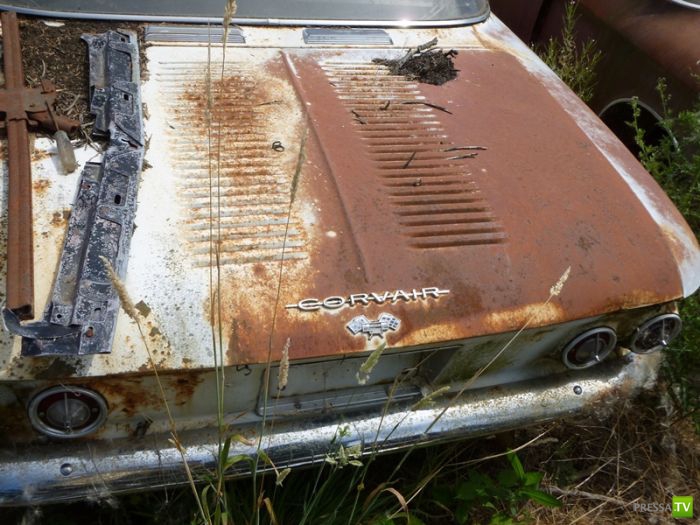 ������������� �������� � ����� ������ (35 ����)