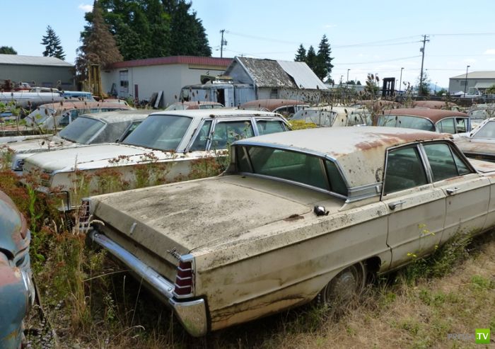 ������������� �������� � ����� ������ (35 ����)