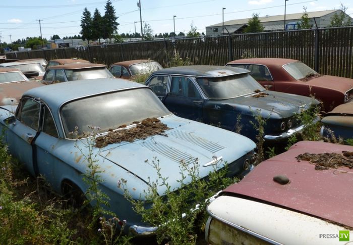 ������������� �������� � ����� ������ (35 ����)