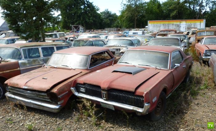 ������������� �������� � ����� ������ (35 ����)