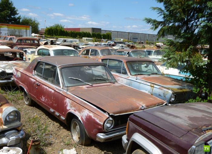 ������������� �������� � ����� ������ (35 ����)