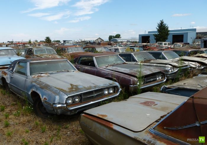 ������������� �������� � ����� ������ (35 ����)