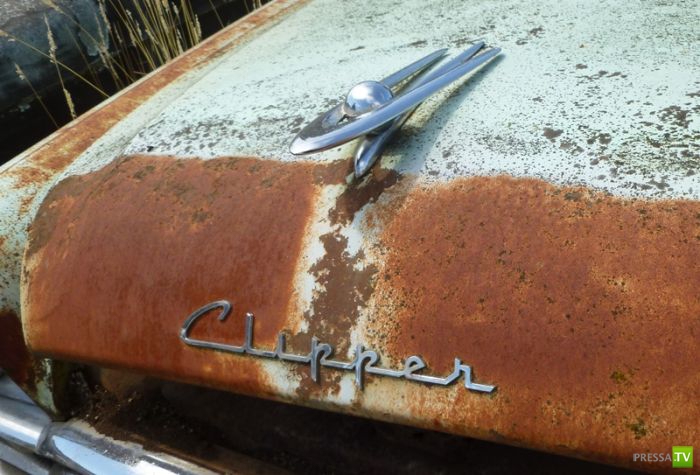 ������������� �������� � ����� ������ (35 ����)