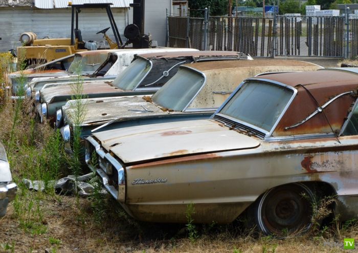 ������������� �������� � ����� ������ (35 ����)