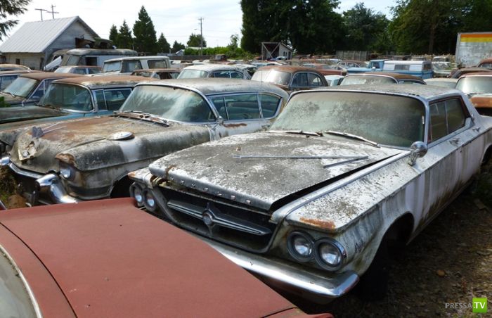 ������������� �������� � ����� ������ (35 ����)