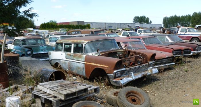 ������������� �������� � ����� ������ (35 ����)