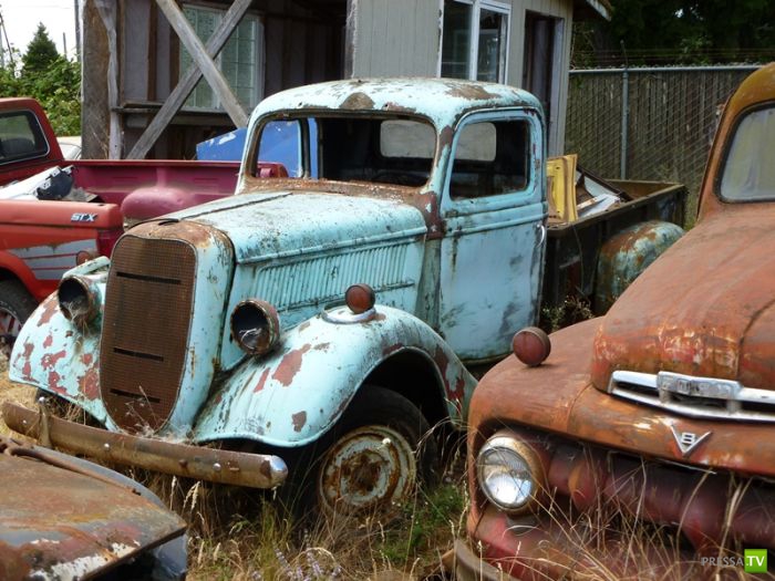 ������������� �������� � ����� ������ (35 ����)