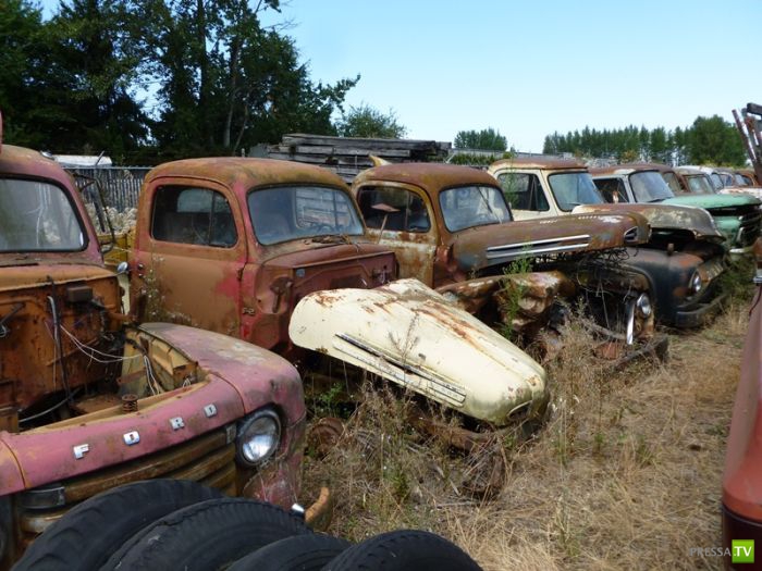 ������������� �������� � ����� ������ (35 ����)