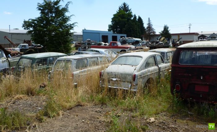 ������������� �������� � ����� ������ (35 ����)