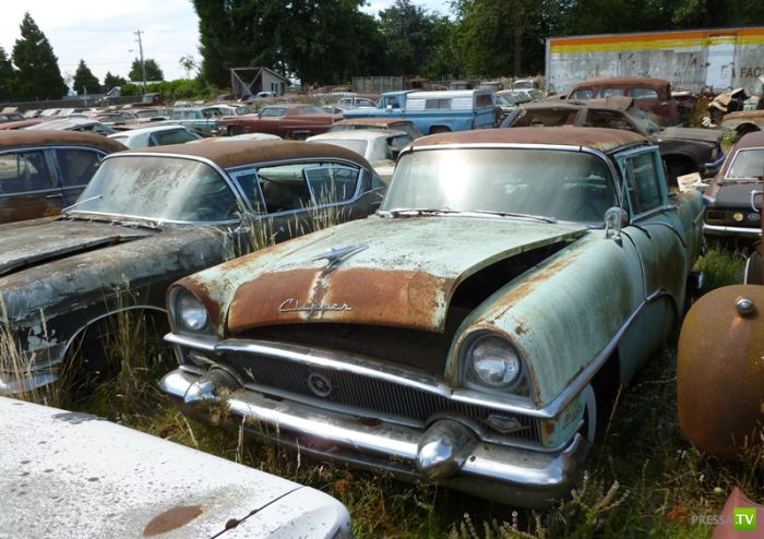 ������������� �������� � ����� ������ (35 ����)