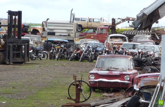 ������������� �������� � ����� ������ (35 ����)