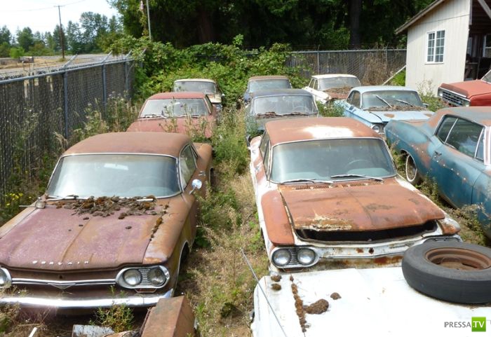 ������������� �������� � ����� ������ (35 ����)