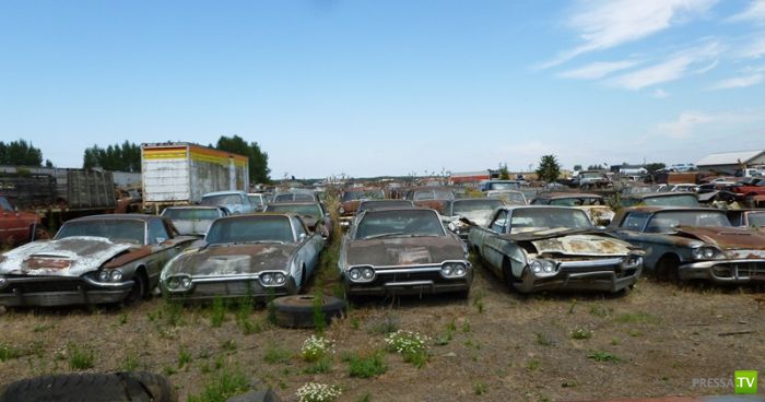 ������������� �������� � ����� ������ (35 ����)