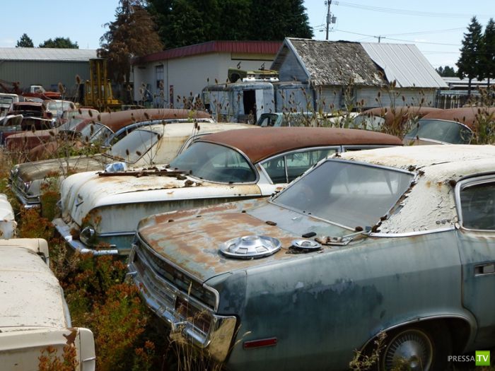 ������������� �������� � ����� ������ (35 ����)