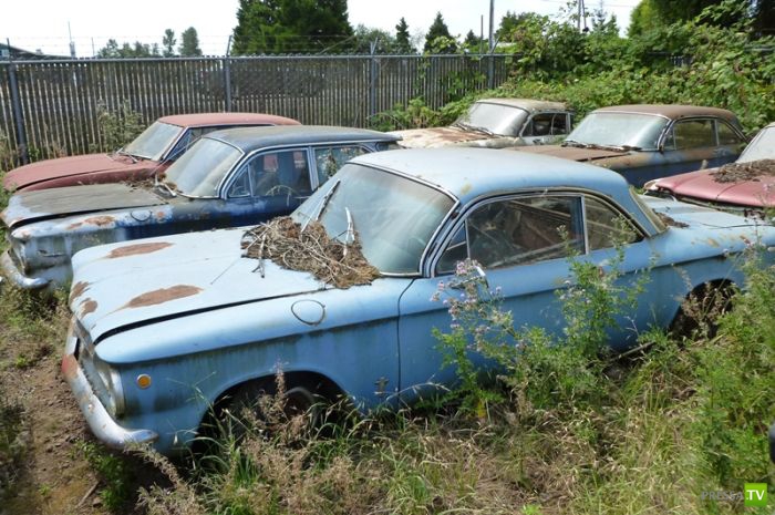 ������������� �������� � ����� ������ (35 ����)