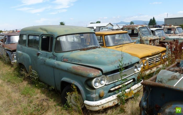 ������������� �������� � ����� ������ (35 ����)