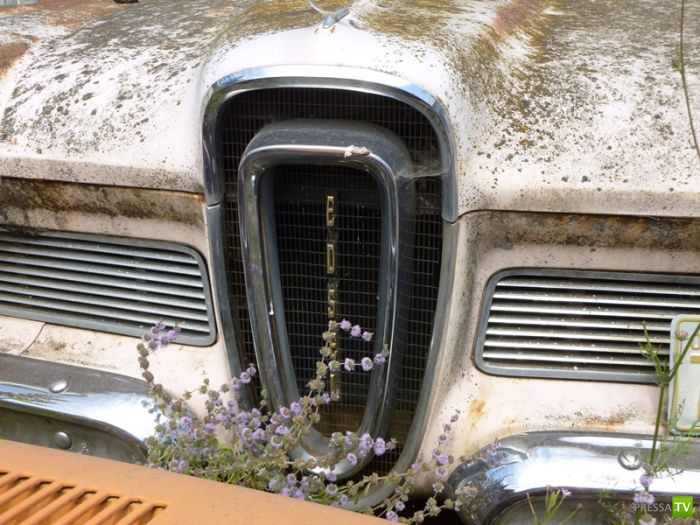 ������������� �������� � ����� ������ (35 ����)