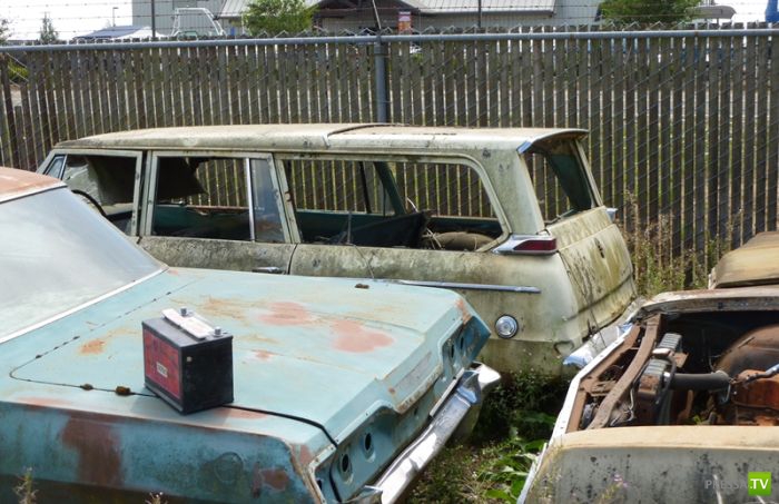 ������������� �������� � ����� ������ (35 ����)