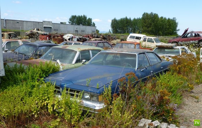 ������������� �������� � ����� ������ (35 ����)