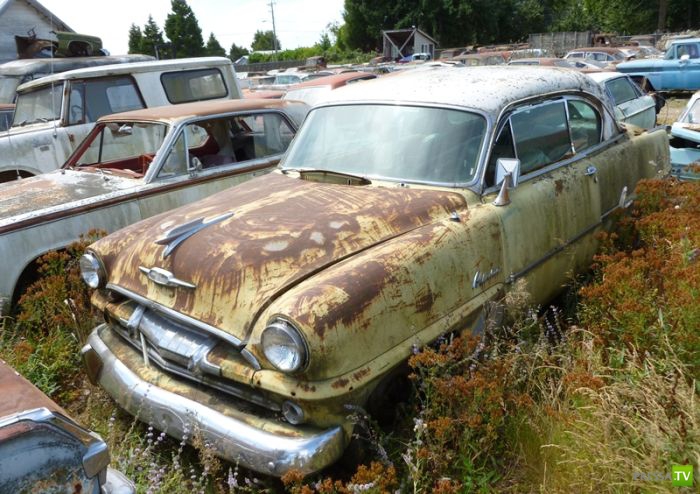 ������������� �������� � ����� ������ (35 ����)