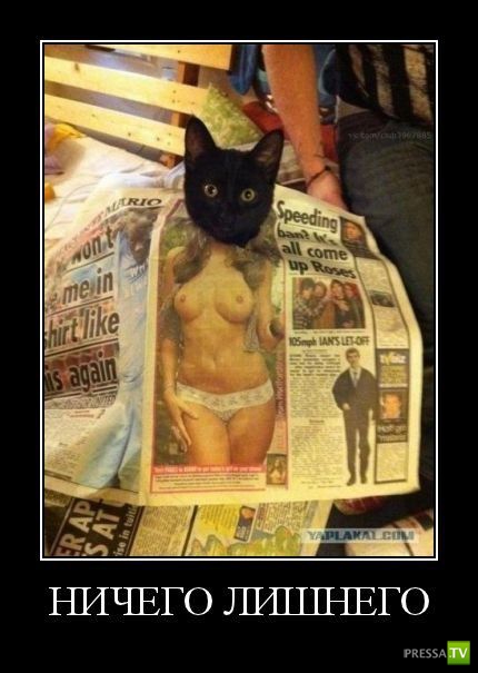 �������� ������������� �� ������� (39 ����)