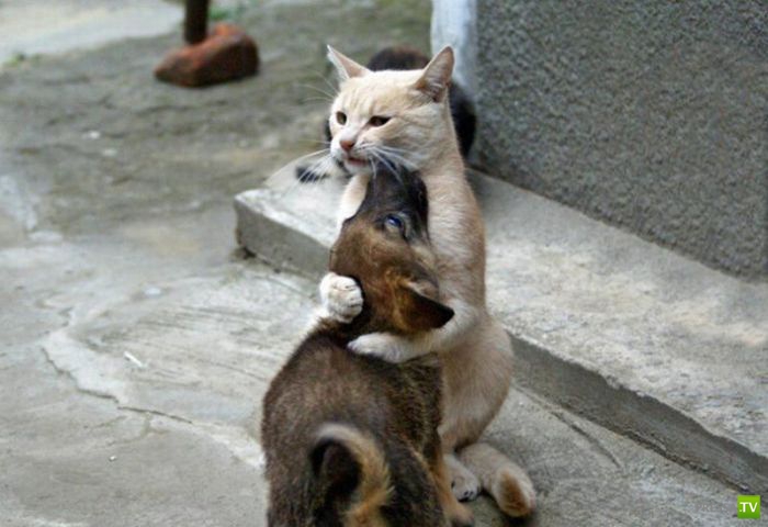 ����� � ������... ������ �����...