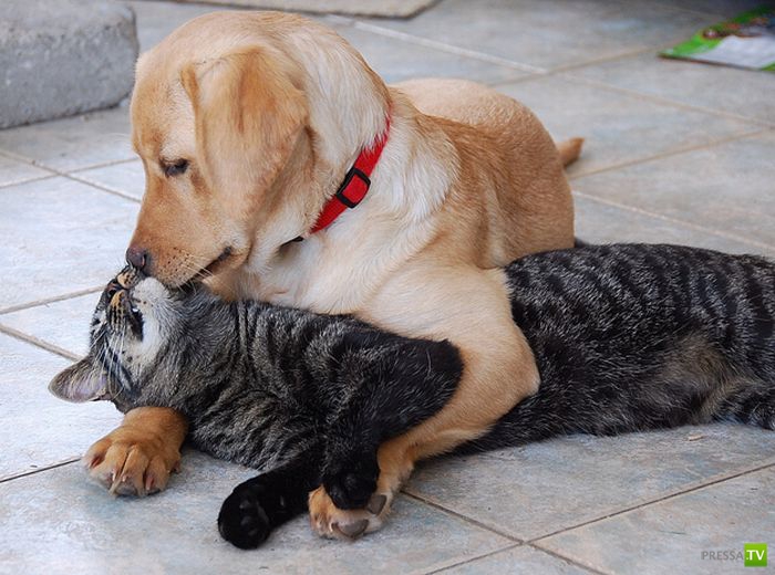 ����� � ������... ������ �����...