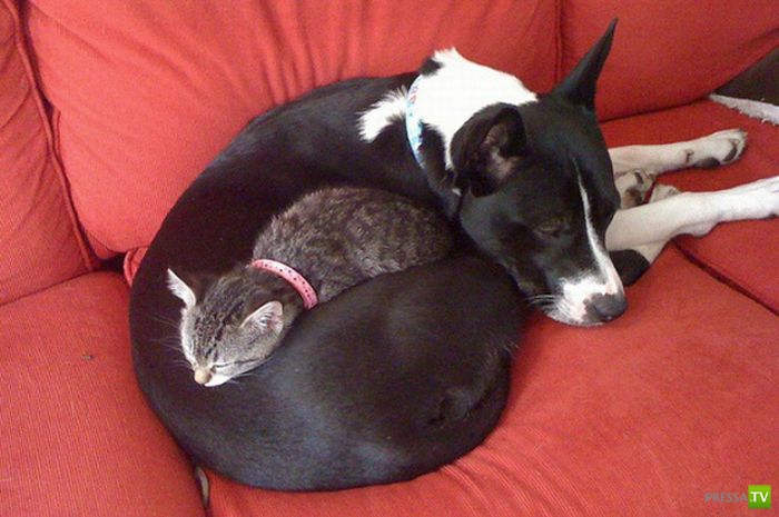 ����� � ������... ������ �����...