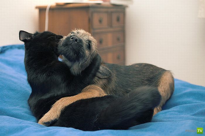 ����� � ������... ������ �����...