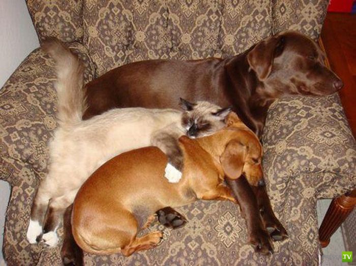 ����� � ������... ������ �����...