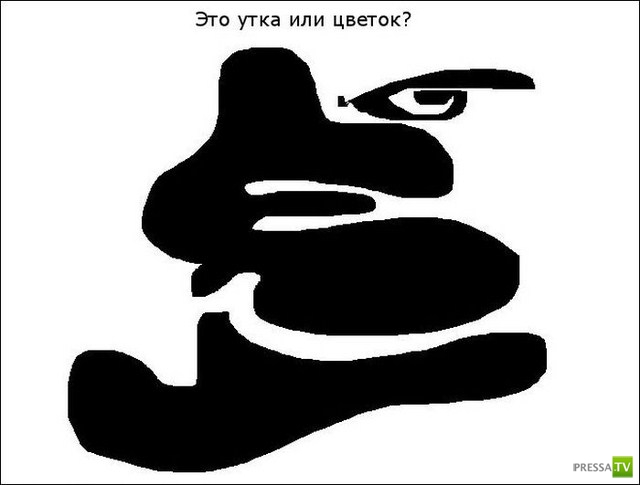 �������� ���������� �������