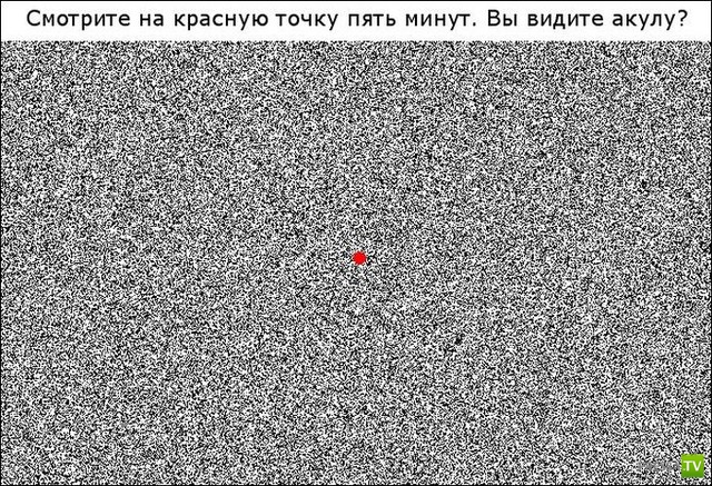 �������� ���������� �������