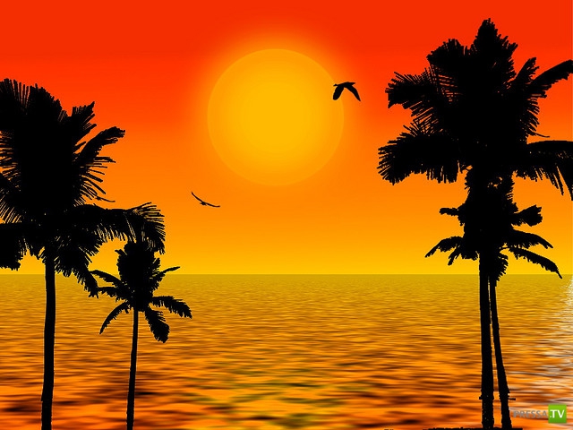     (Naveed Mughal) (28 )