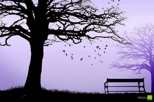     (Naveed Mughal) (28 )