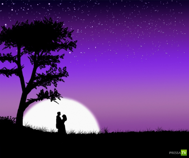     (Naveed Mughal) (28 )