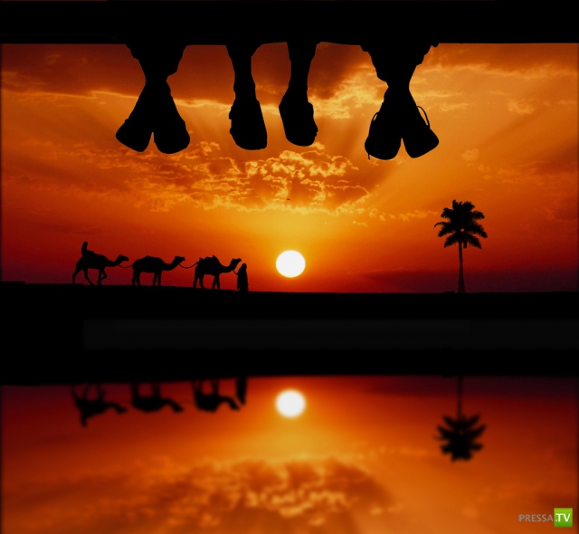     (Naveed Mughal) (28 )