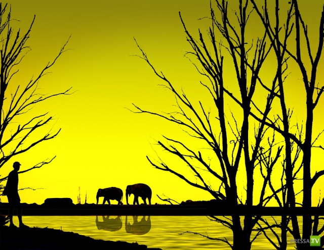     (Naveed Mughal) (28 )