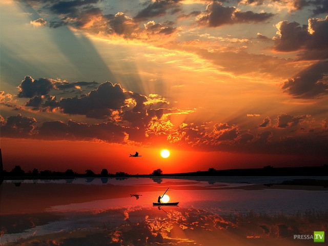     (Naveed Mughal) (28 )