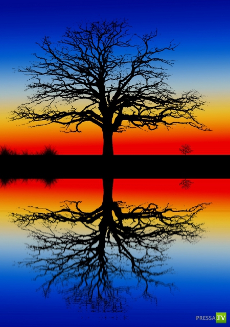     (Naveed Mughal) (28 )