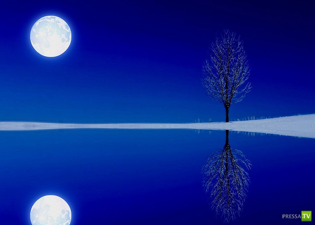     (Naveed Mughal) (28 )