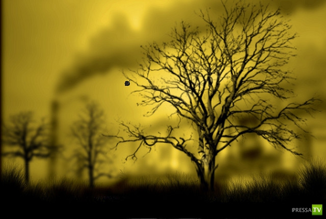     (Naveed Mughal) (28 )