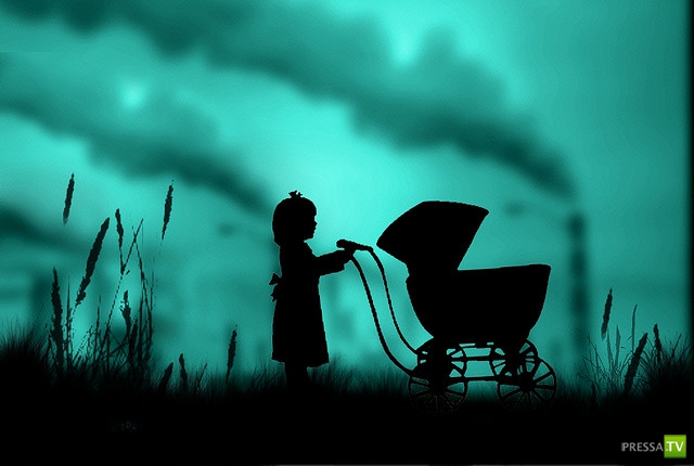     (Naveed Mughal) (28 )