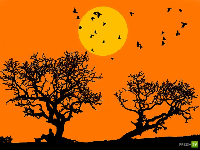     (Naveed Mughal) (28 )