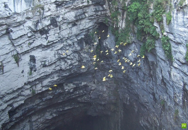 Пещера Ласточек, Мексика