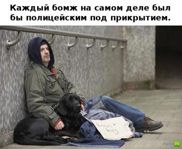 ���������� ������������� � ����� (12 ����)