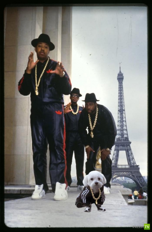 ������ ����� (11 ����)