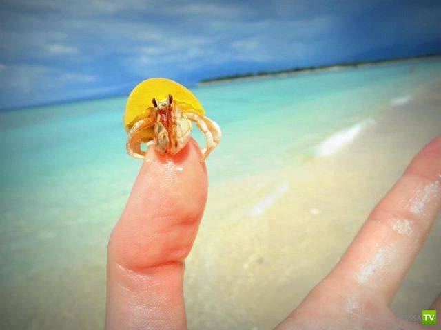 ��� �������� �������� (19 ����)