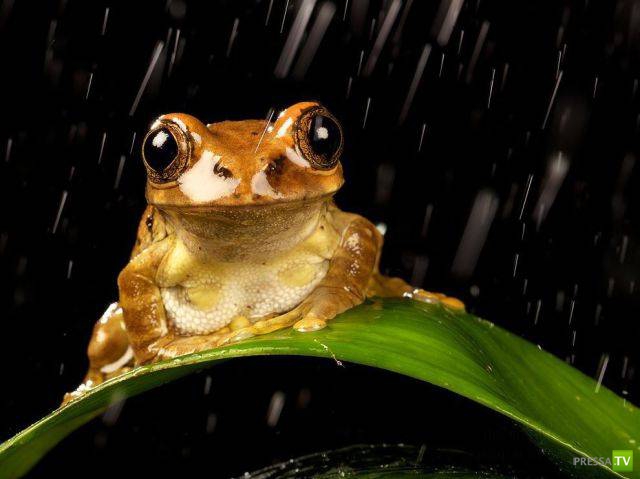 ��� �������� �������� (19 ����)