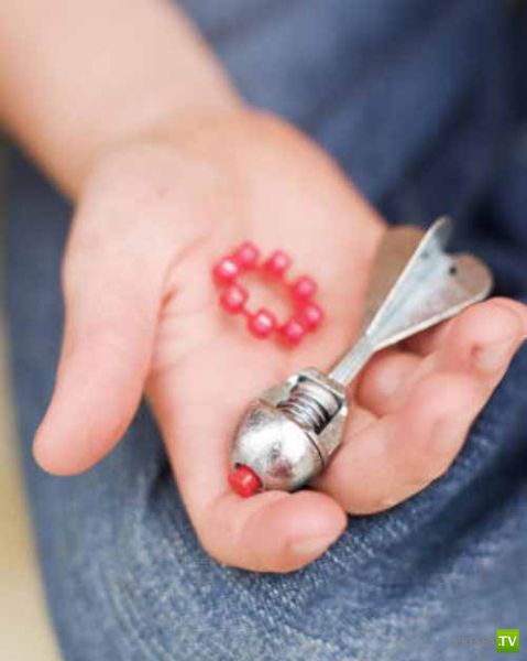 ����������. �������� ���������� (30 ����)